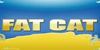 Fat Cat